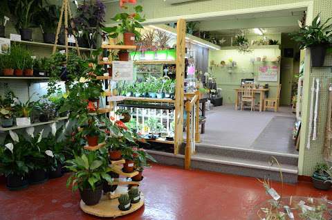 Casey's Garden Shop